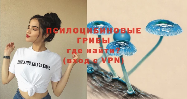 mix Зеленокумск