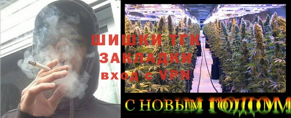 первитин Инсар