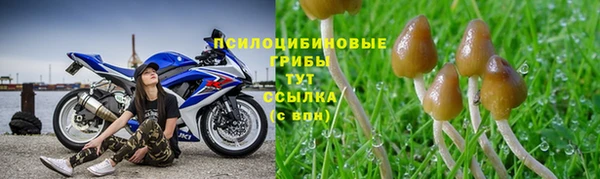 mix Зеленокумск