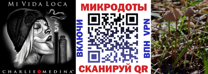 купить цена Луза hydra ONION Галлюциногенные грибы ЛСД